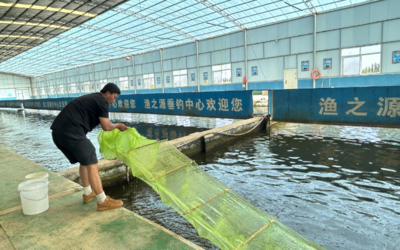 灵武市:大力发展水产养殖 助力渔业高质量发展